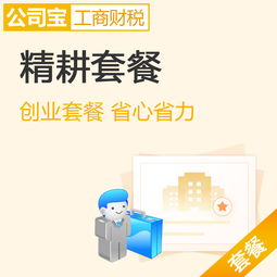 北京精耕套餐 一站式內(nèi)資公司注冊與財(cái)稅管理解決方案